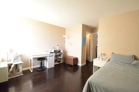 1455 North Sandburg Terrace Chicago IL 60610