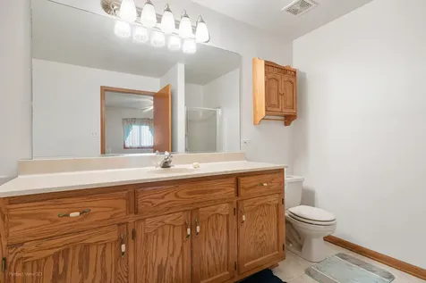 18431 Pine Cone Drive Tinley Park IL 60477