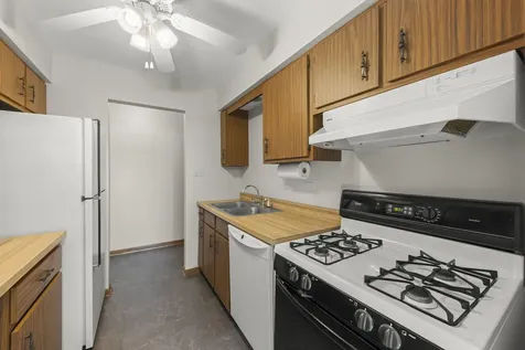 15719 Peggy Lane Oak Forest IL 60452