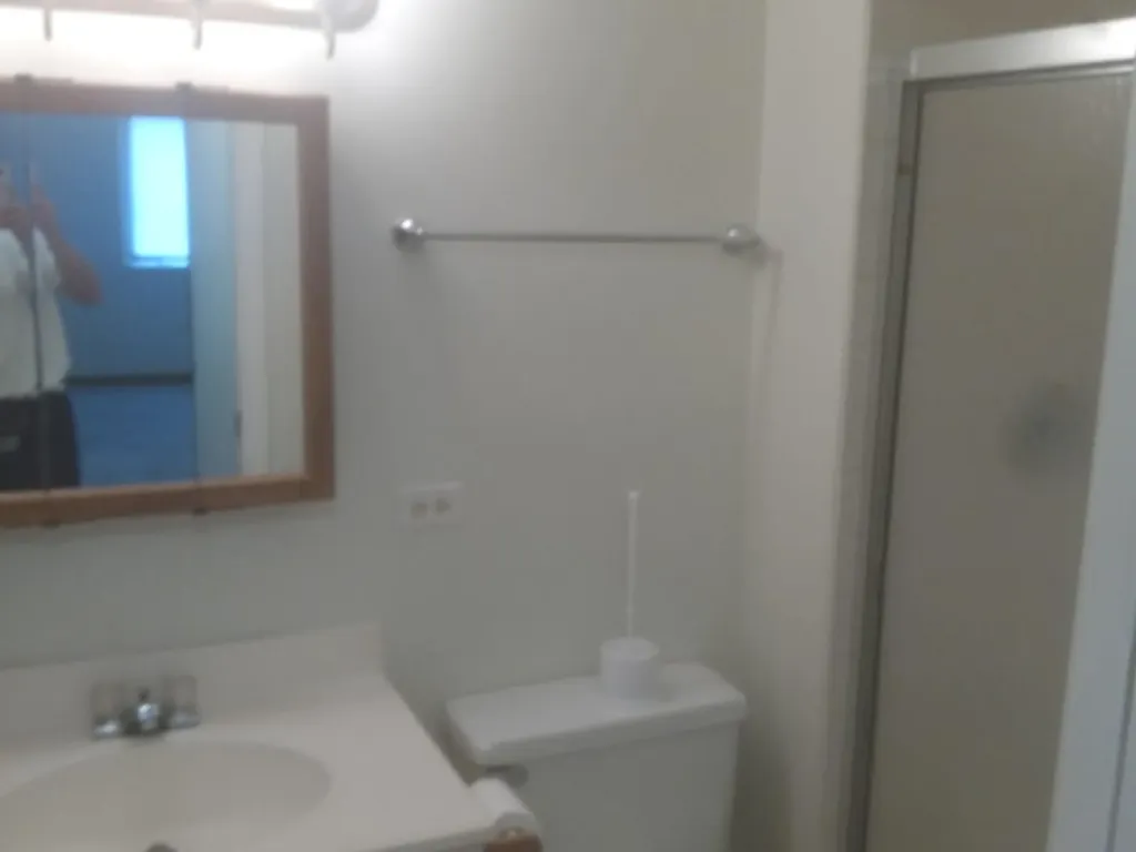 1480 Stonebridge Circle Wheaton IL 60189