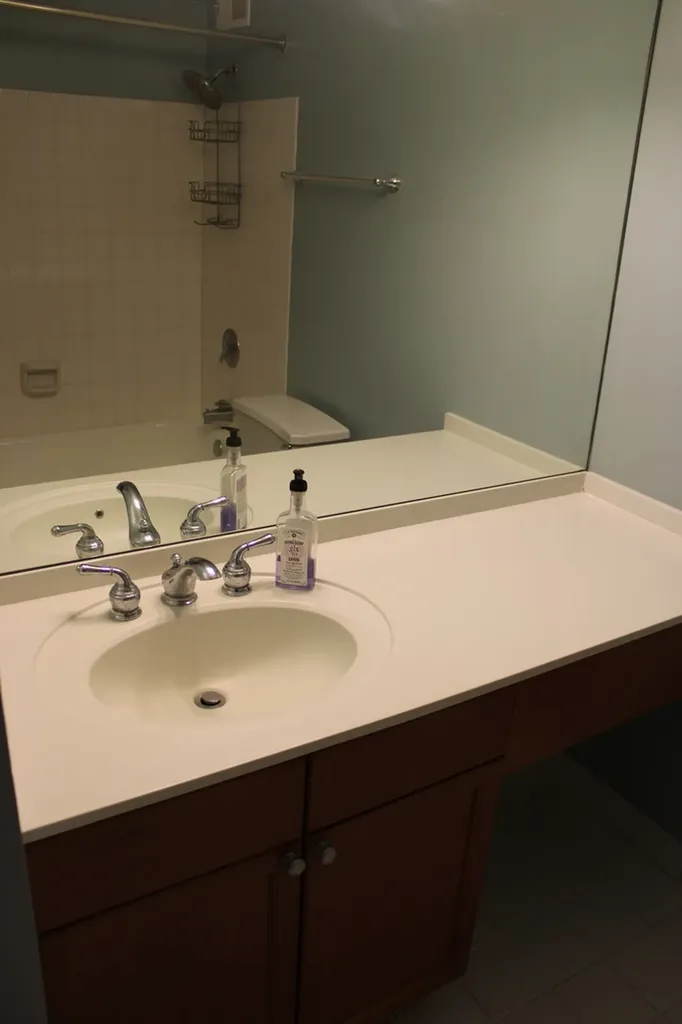 474 North Lake Shore Drive Chicago IL 60611