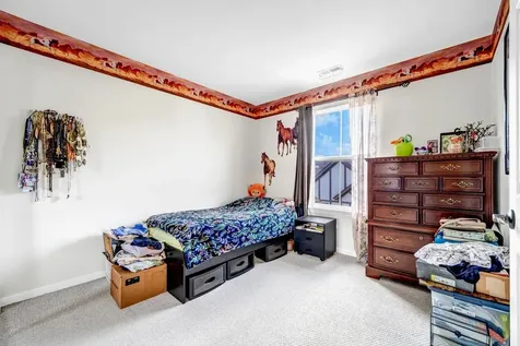 806 June Terrace Lake Zurich IL 60047