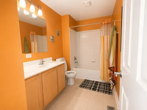 721 Bonaventure Drive Oswego IL 60543