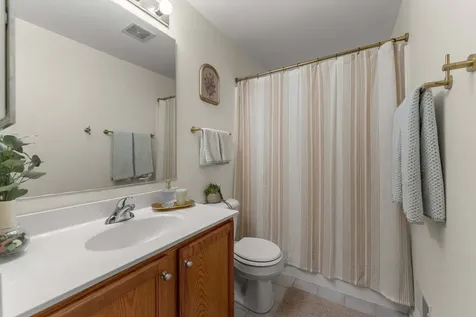 2137 Shadow Creek Court Vernon Hills IL 60061