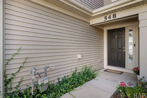 548 Silverton Drive Grayslake IL 60030