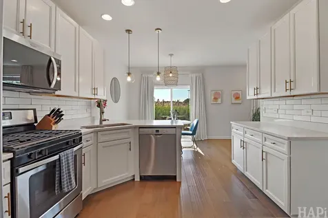 548 Silverton Drive Grayslake IL 60030