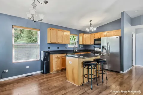 24903 West Oak Avenue Lake Villa IL 60046