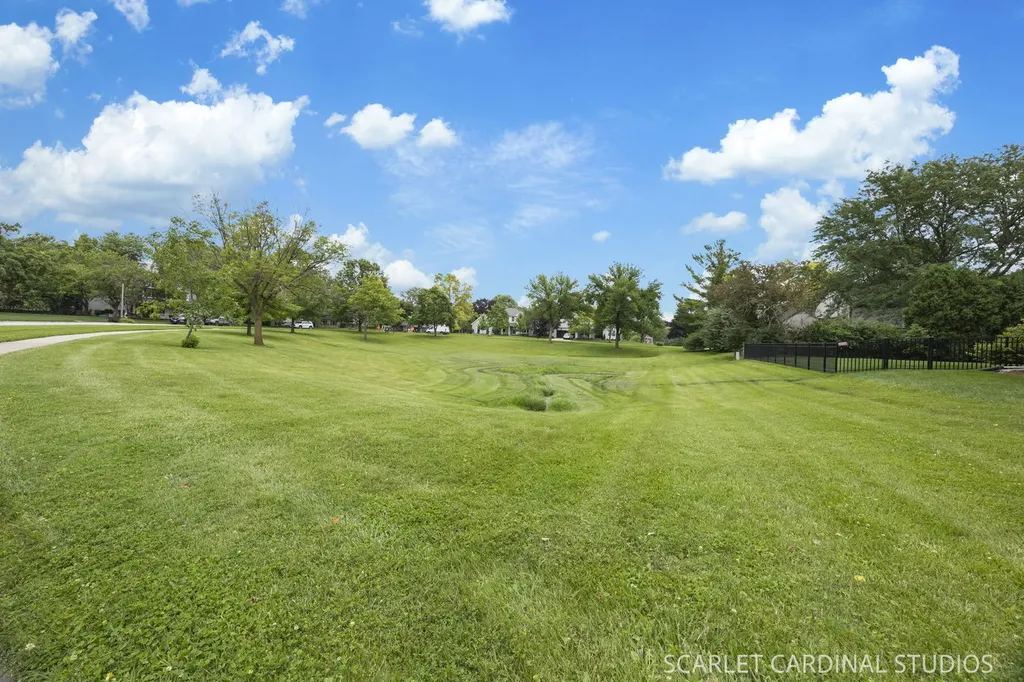 85 Claremont Drive Naperville IL 60540