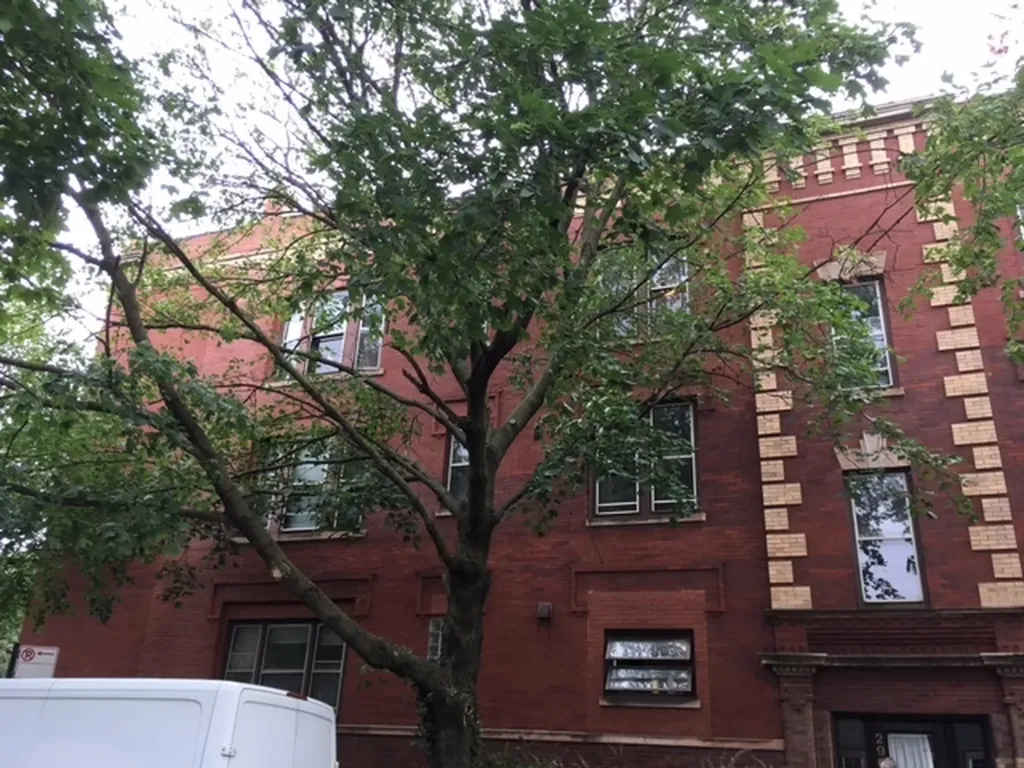 2906 North Greenview Avenue Chicago IL 60657