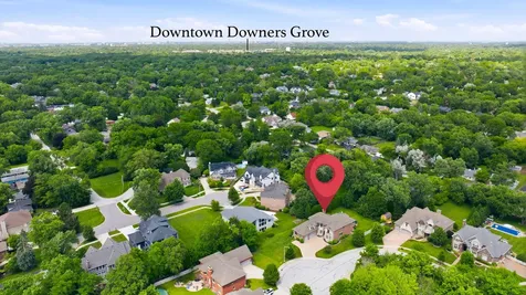 1736 Brian Grant Court Downers Grove IL 60516