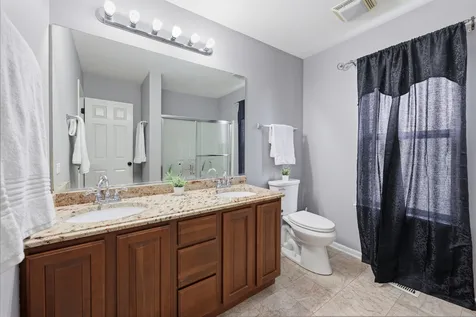 518 Wildflower Way Streamwood IL 60107