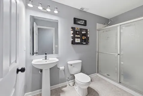 518 Wildflower Way Streamwood IL 60107