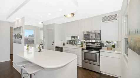 1313 North Ritchie Court Chicago IL 60610