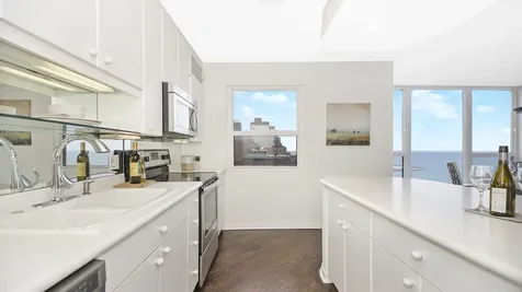 1313 North Ritchie Court Chicago IL 60610