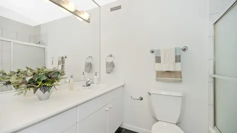 1313 North Ritchie Court Chicago IL 60610