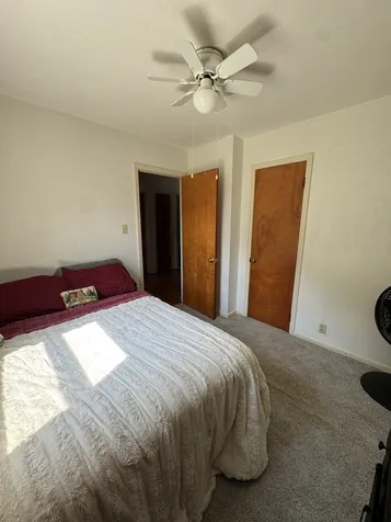 511 North Main Street Atwood IL 61913