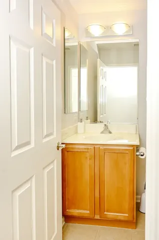 219 Riverfront Drive Mount Prospect IL 60056