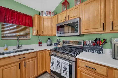 1540 Carol Anne Drive Morris IL 60450