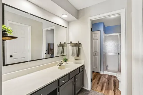 1307 Cromwell Court Vernon Hills IL 60061