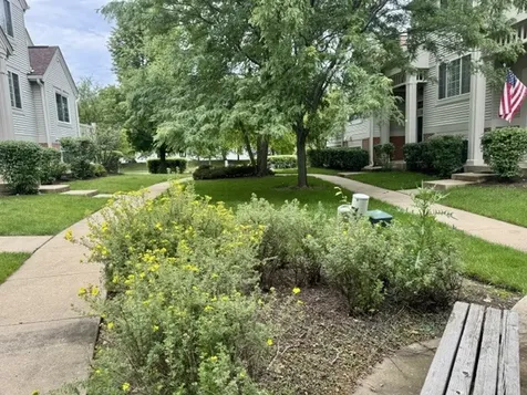 1333 New Haven Drive Cary IL 60013