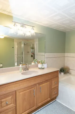 15713 Old Orchard Court Orland Park IL 60462