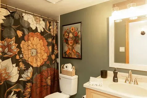 15713 Old Orchard Court Orland Park IL 60462