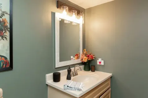 15713 Old Orchard Court Orland Park IL 60462