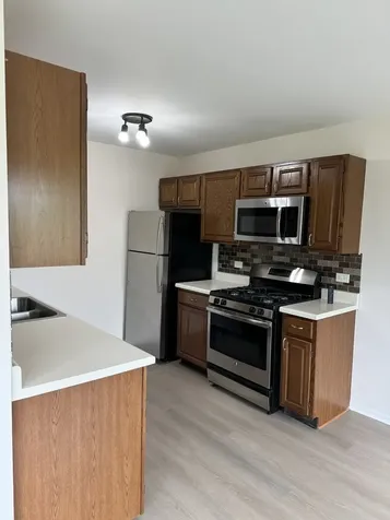 636 Mallard Court Bartlett IL 60103