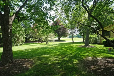 229 Willow Parkway Buffalo Grove IL 60089