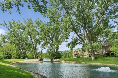 971 Hidden Lake Drive Buffalo Grove IL 60089