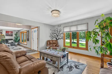 15255 Rosarie Drive Homer Glen IL 60491