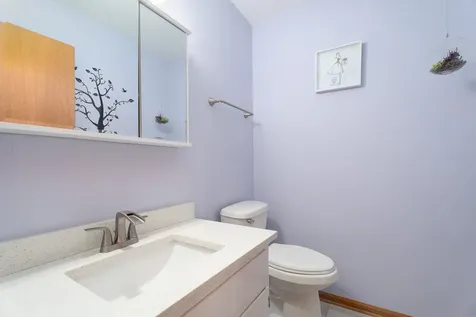 15255 Rosarie Drive Homer Glen IL 60491