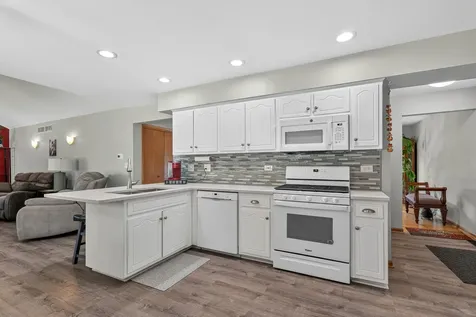 15255 Rosarie Drive Homer Glen IL 60491