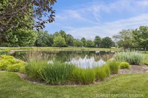302 Cascade Lane Oswego IL 60543