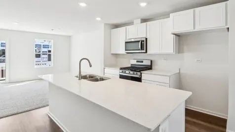 17399 Ulster Drive Tinley Park IL 60477