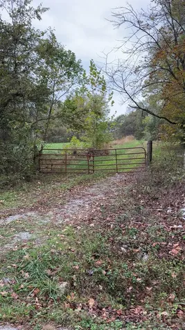 153 Rock Creek Road Cave In Rock IL 62919