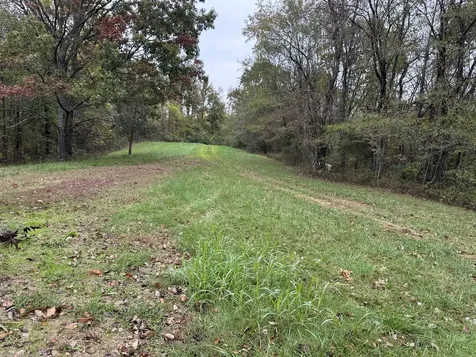 153 Rock Creek Road Cave In Rock IL 62919