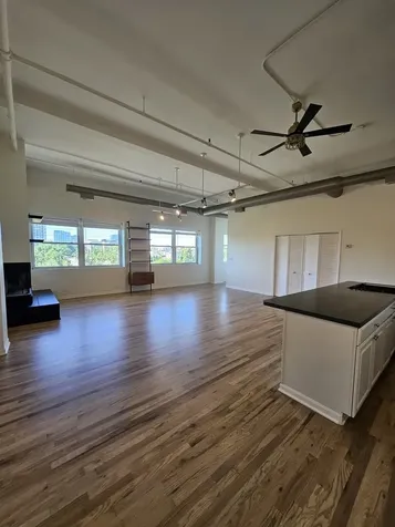 809 North Racine Avenue Chicago IL 60642