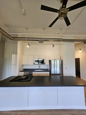 809 North Racine Avenue Chicago IL 60642