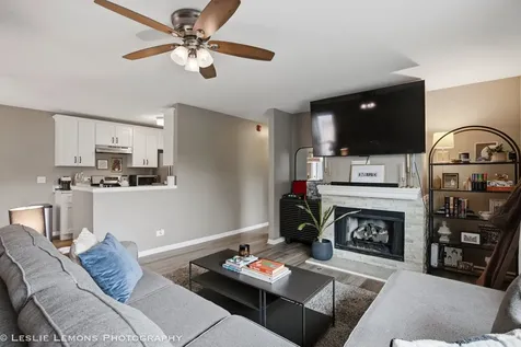 446 Valley Drive Naperville IL 60563