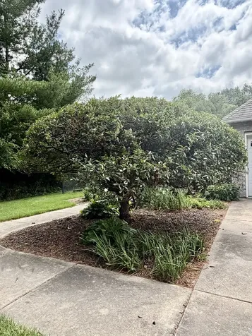 2202 Meadows Drive Sterling IL 61081