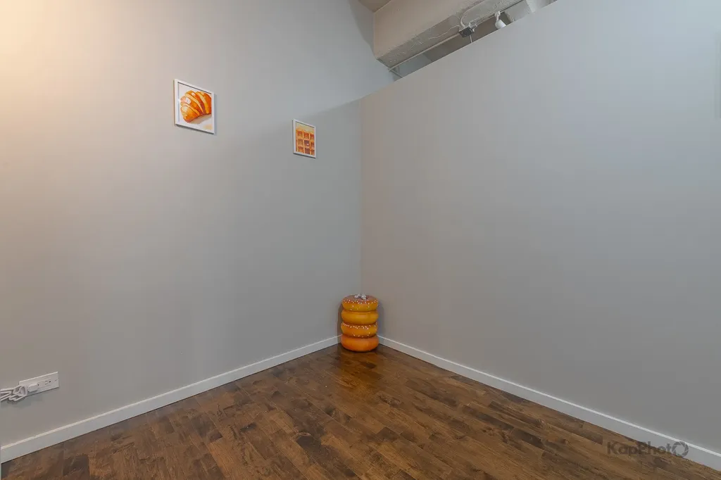 1528 South Wabash Avenue Chicago IL 60605