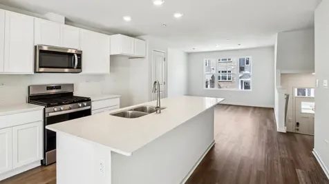 17393 Ulster Drive Tinley Park IL 60477
