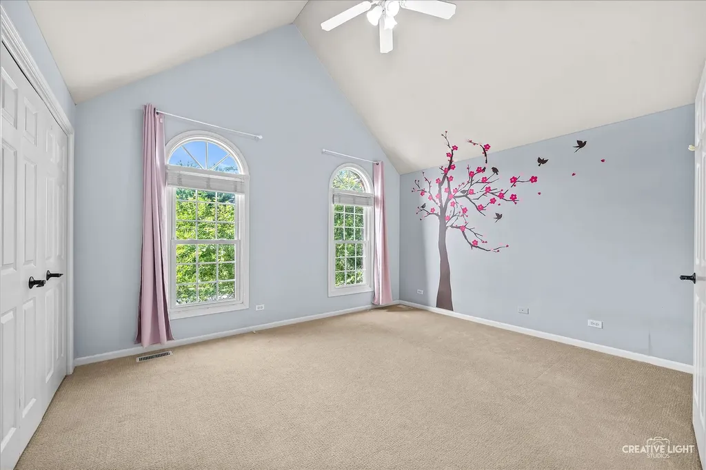 3811 Sunburst Lane Naperville IL 60564