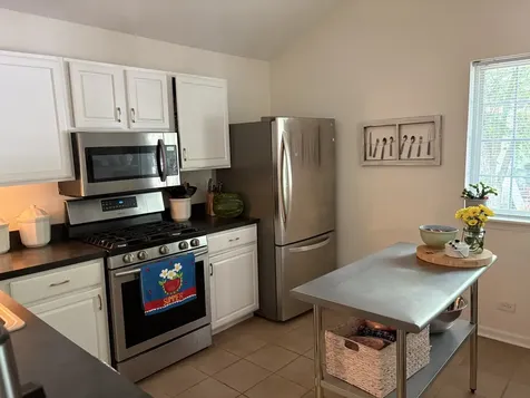 259 West Treehouse Lane W Round Lake IL 60073