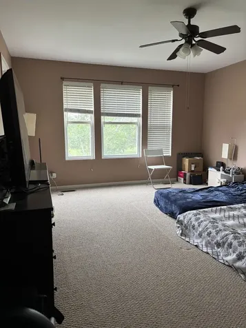 1991 Cobblestone Drive Carpentersville IL 60110