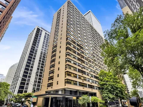 850 North Dewitt Place Chicago IL 60611