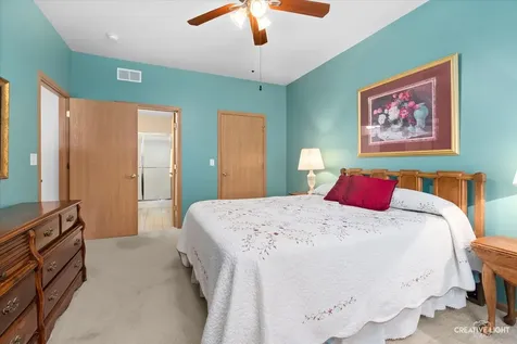 24127 West Walnut Circle Plainfield IL 60585