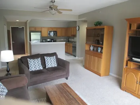 125 Lakeview Drive Bloomingdale IL 60108