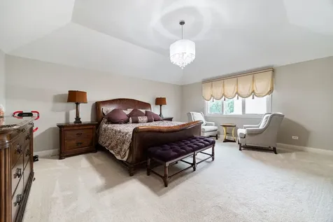12775 Tullamore Lane Lemont IL 60439